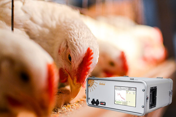 Agriculture & Livestock Agriculture & Livestock