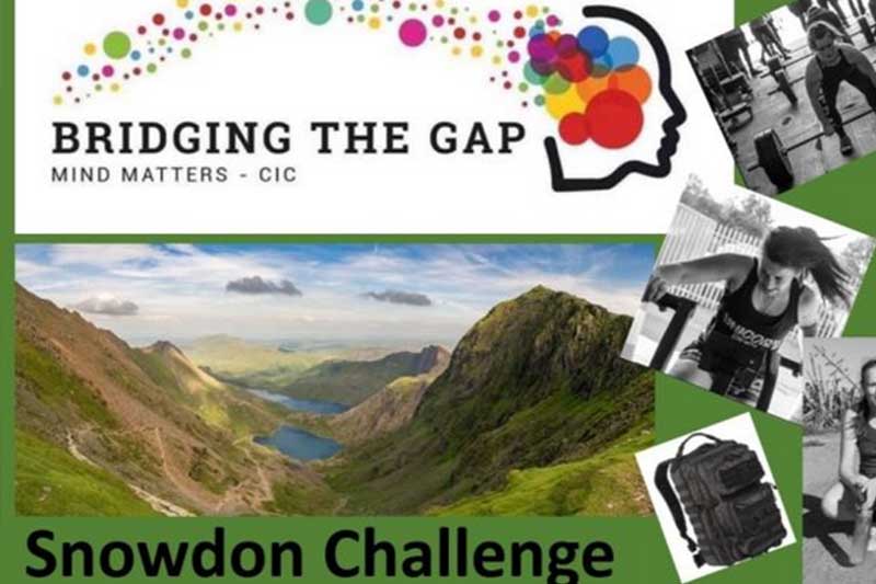 Bridging the Gap, Mind Matters Bridging the Gap, Mind Matters