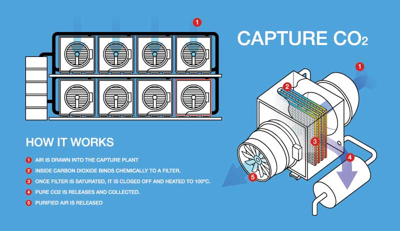 Capture