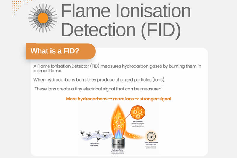 Flame Ionisation Detection By Protea In Focus