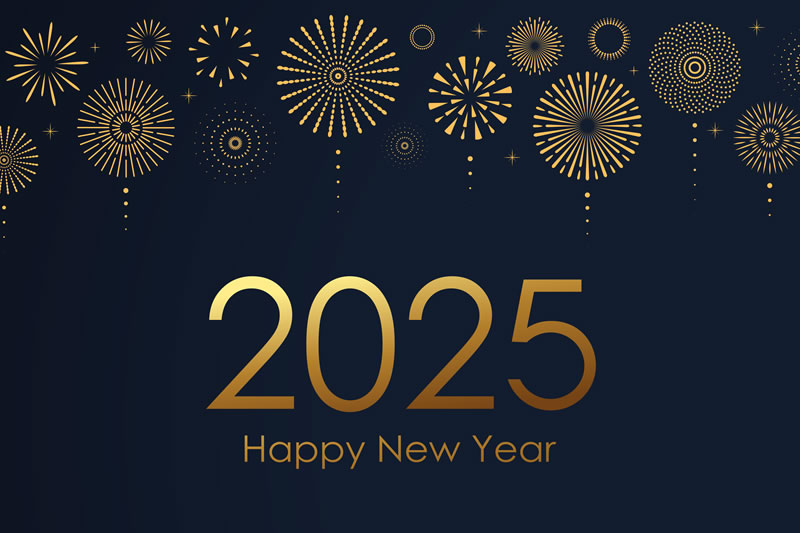 Happy New Year From Protea