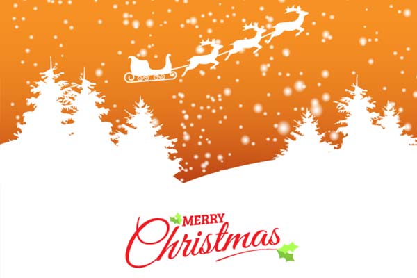 Season’s Greetings From Protea Season’s Greetings From Protea
