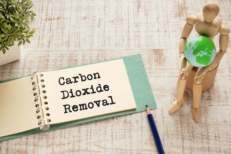 Scaling Up Carbon Dioxide Removals In The EU